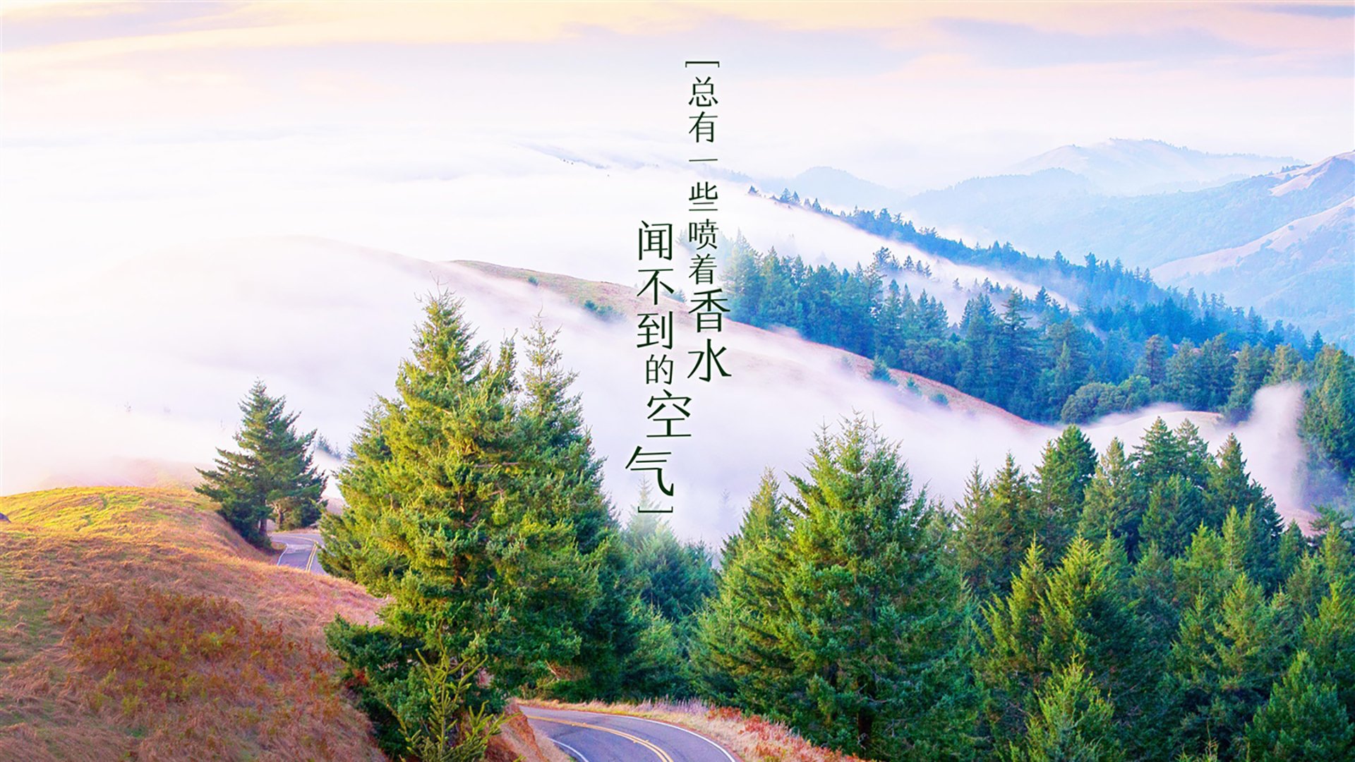 _德约科维奇美网黄金十冠再度刷新纪录_，德约科维奇第九次晋级美网决赛