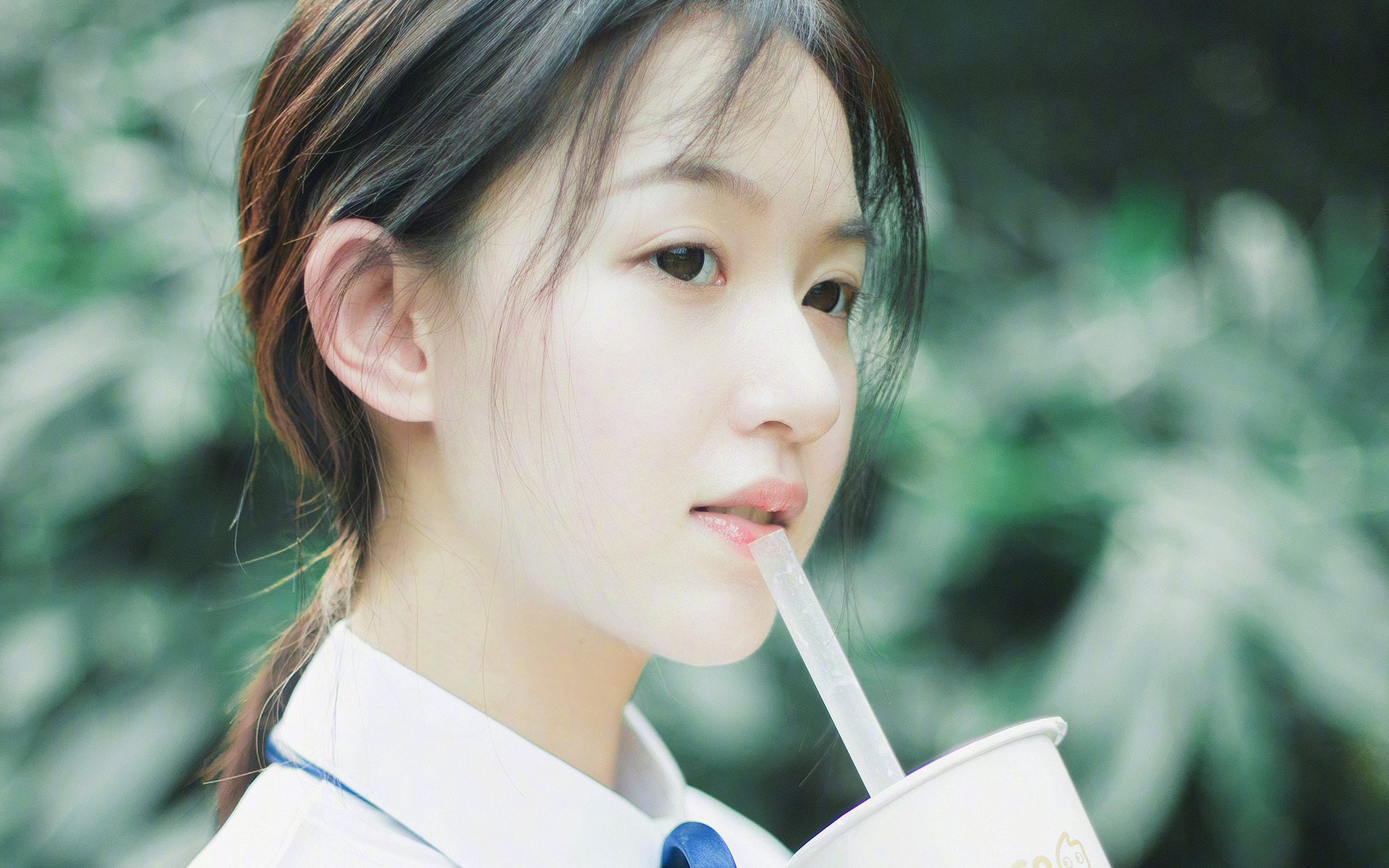 “球迷狂欢:最感人应援场面回顾”,球迷球迷