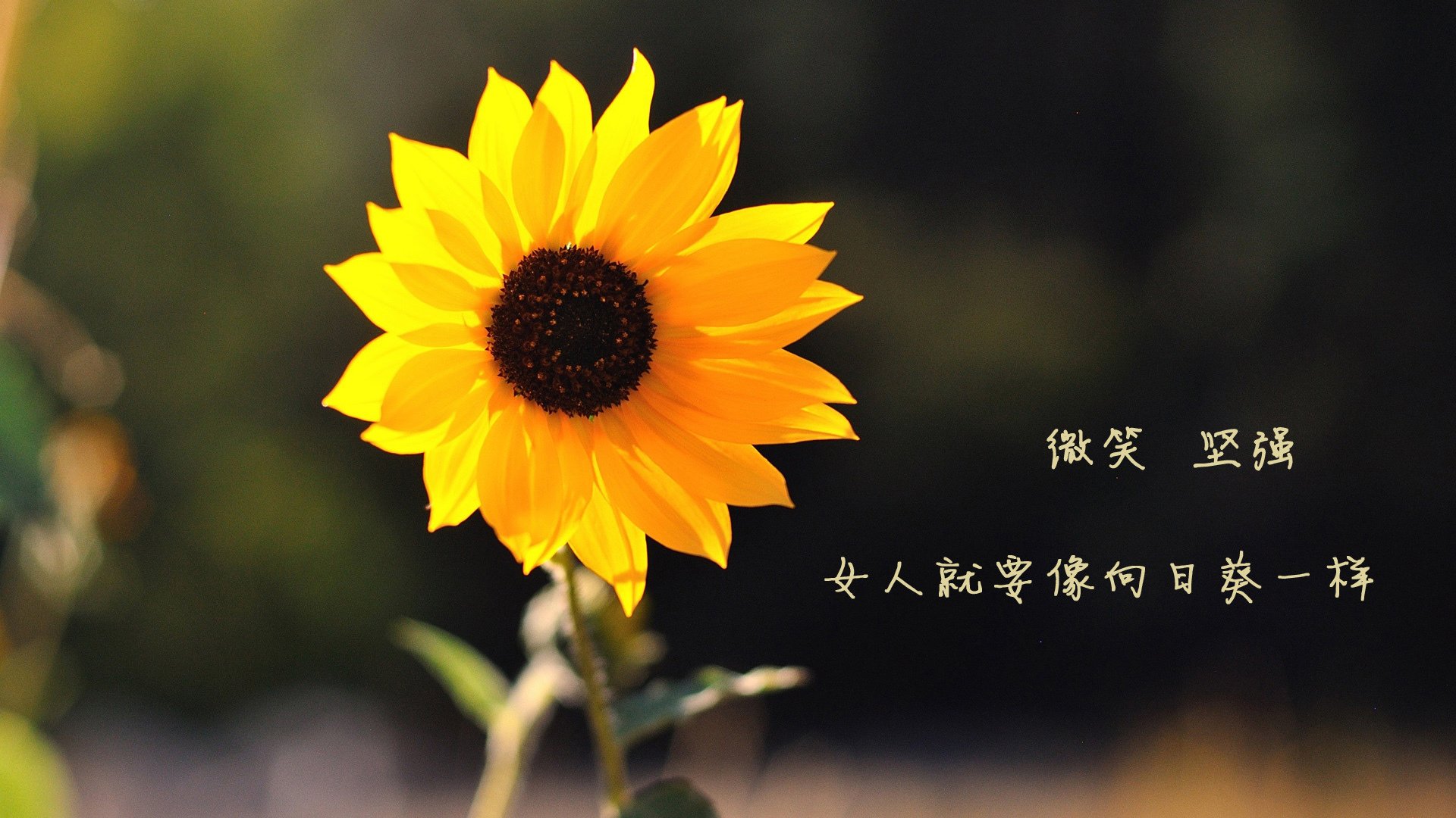 青少年篮球季后赛精彩纷呈，关注度持续走高，青少年篮球赛视频