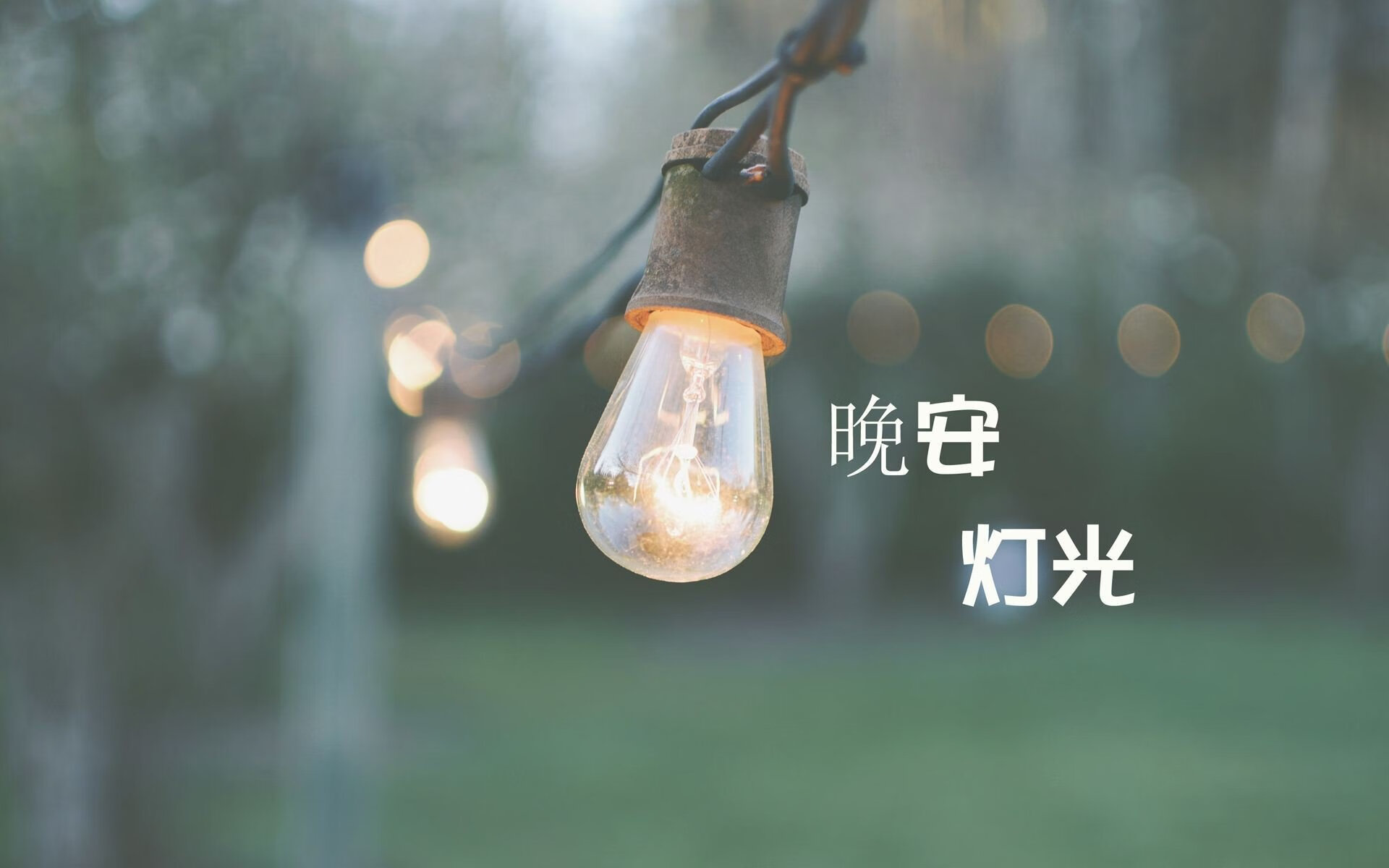 塞内加尔队在巴黎奥运会比赛中展现出高效的快攻配合，塞内加尔队球星