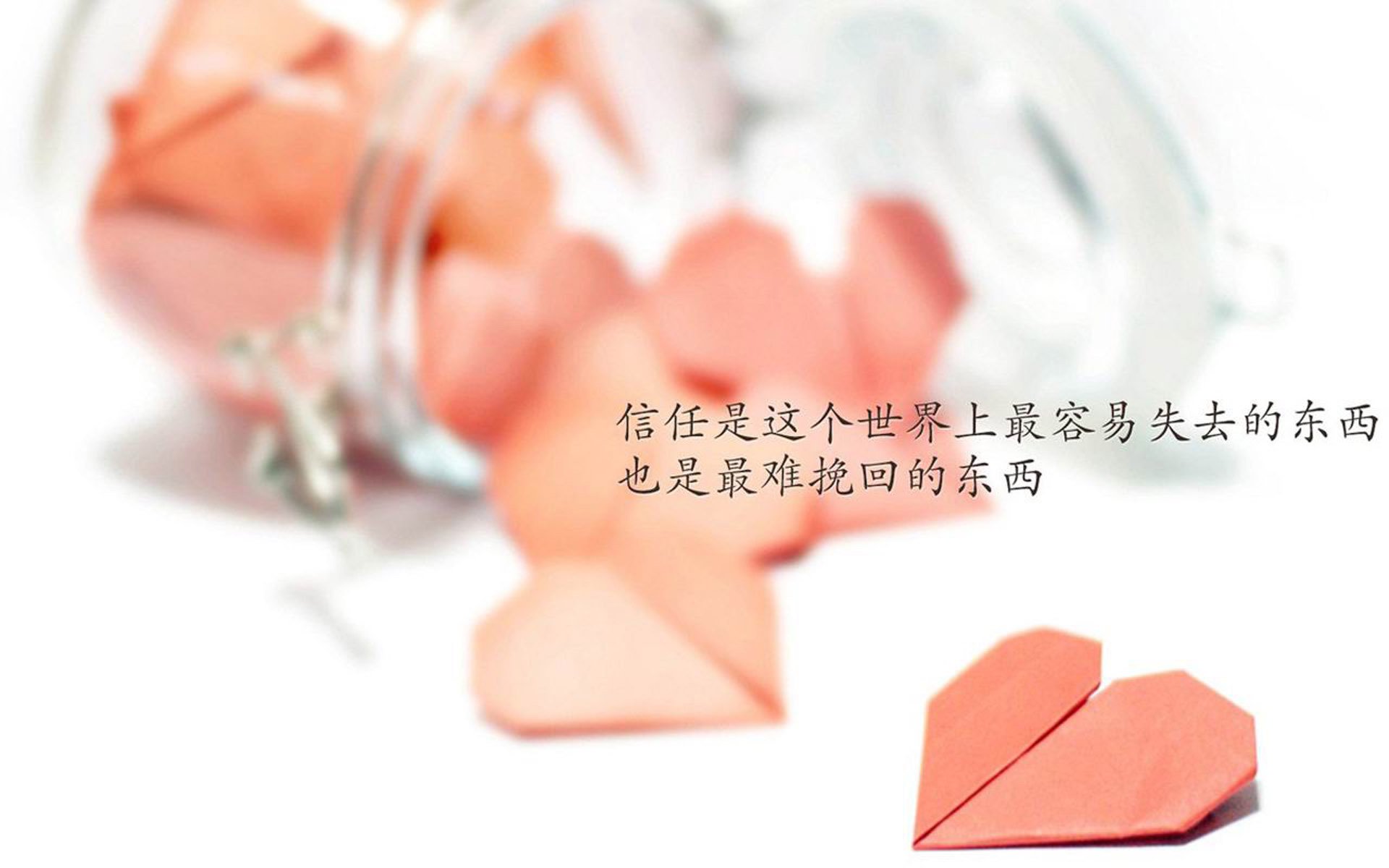 广东东莞客场大胜上海，领先积分榜，广东东莞队常规赛输了几场