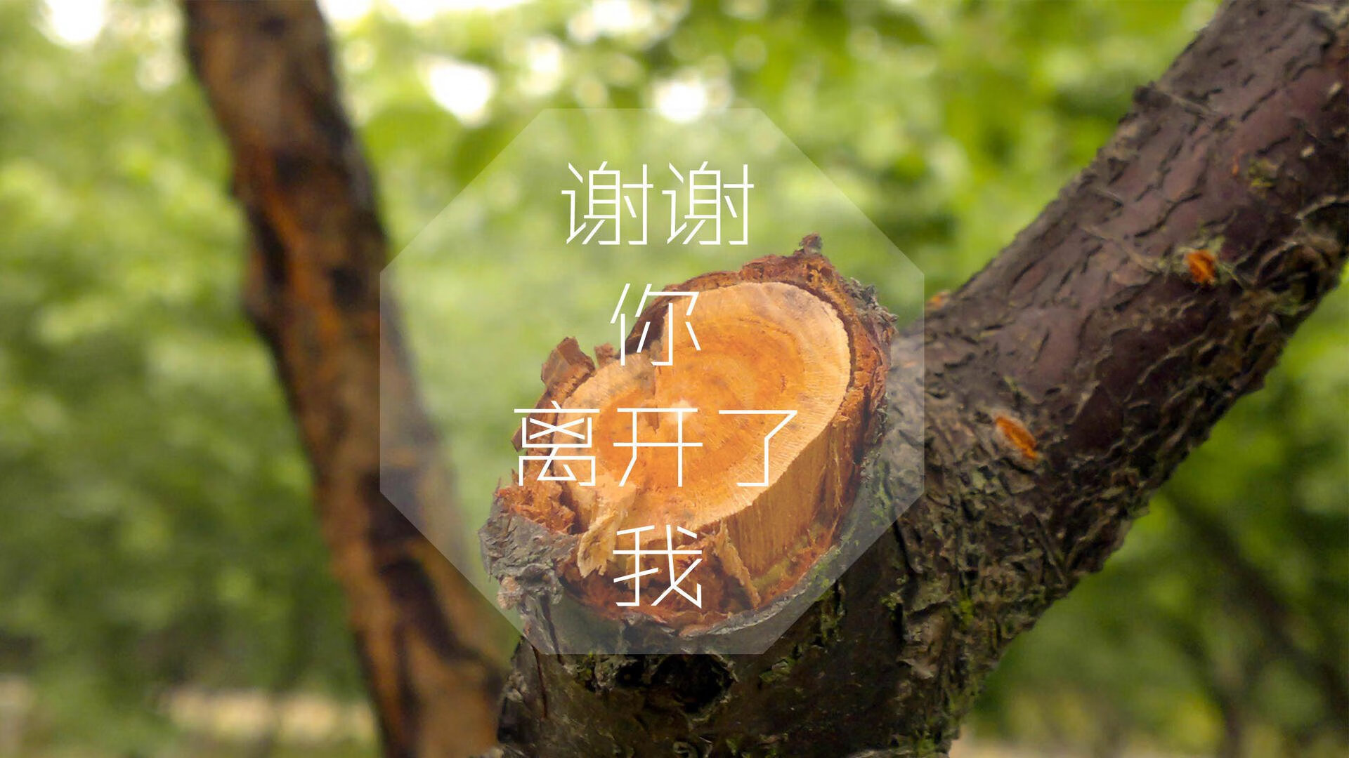 欧洲足球冠军联赛淘汰赛阶段精彩继续，2021欧洲杯淘汰球队