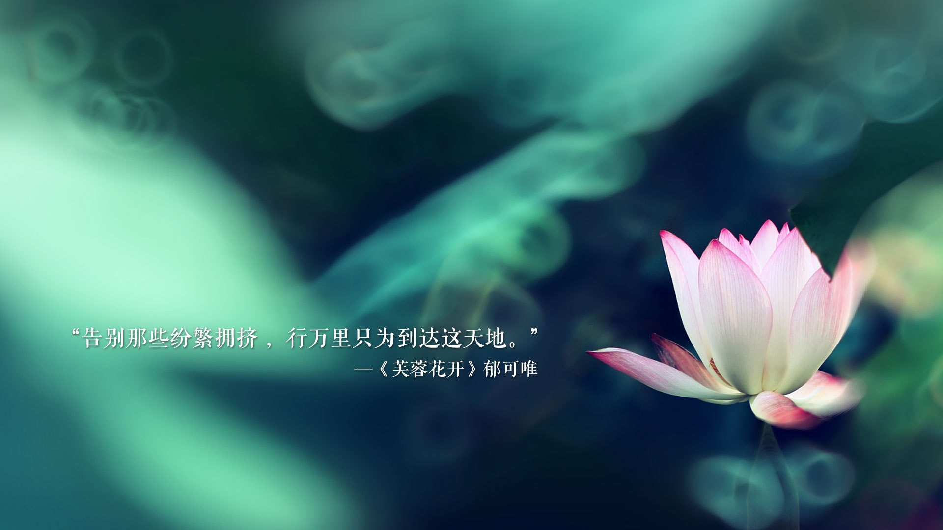 谢菲联防线坚固，刀锋战士保级决心强，谢菲尔德军刀